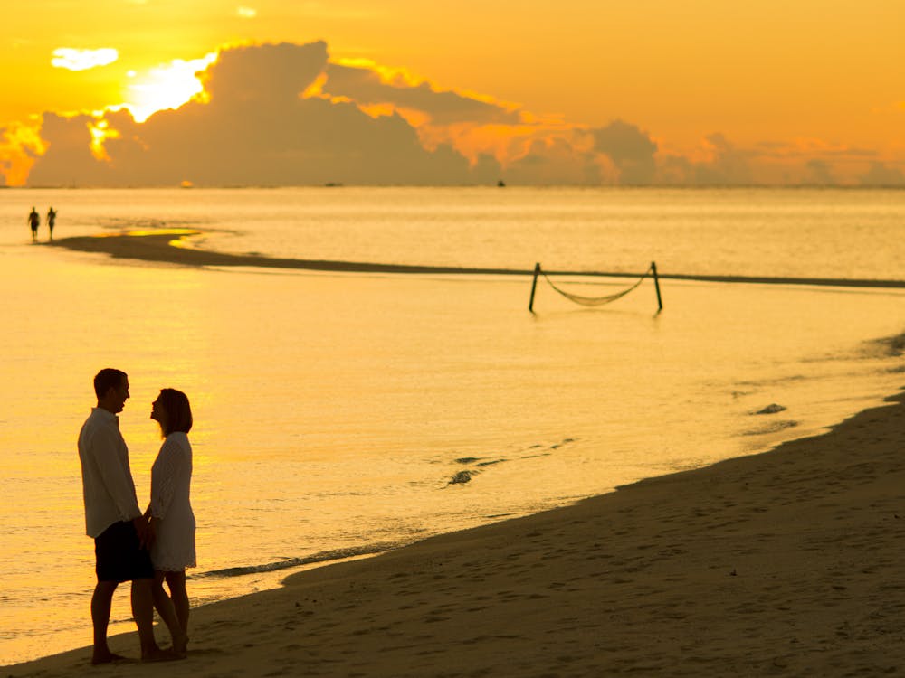 Free Man and Woman Facing Each Other in Front of Golden Hour Stock Photo