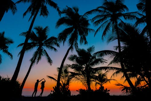 免费 日落期间男人和女人在树旁边的剪影摄影 素材图片