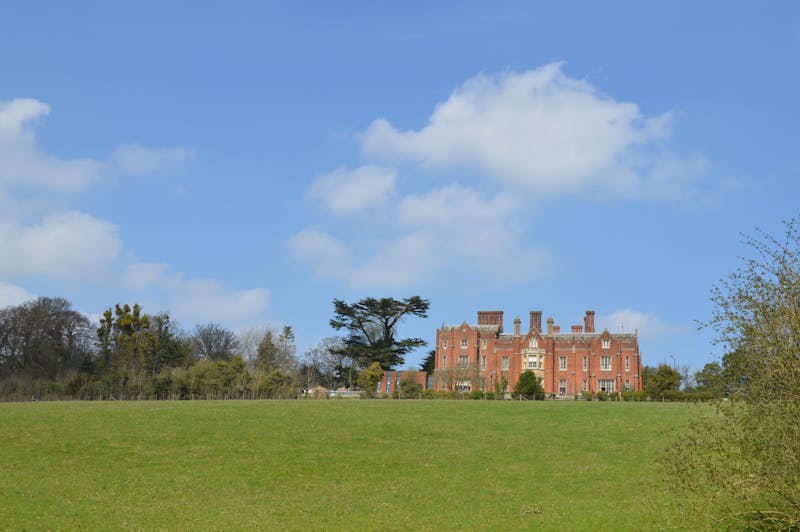 Close-up of genuine cow leather texture on anti-loss dog collar showing durability and grain detail