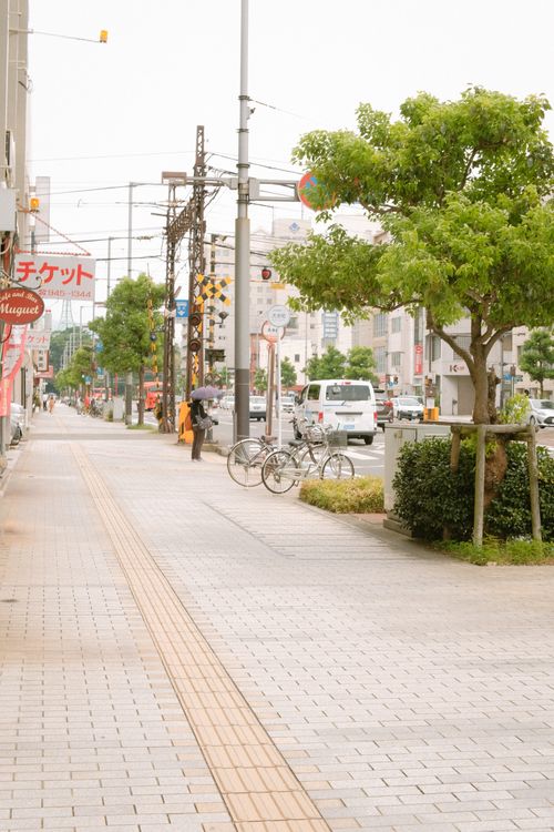 Free Peaceful city street scene with lush trees, bicycles, and pedestrian walkways. Stock Photo