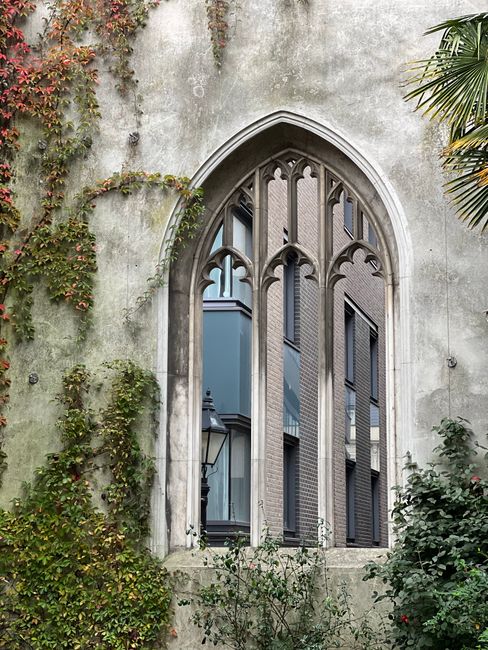 A gothic-style stone archway with ivy and modern building visible beyond.