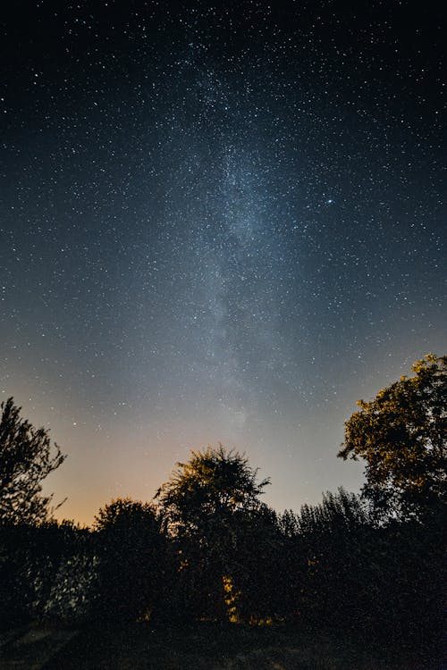 Foto profissional grátis de árvores, céu azul, céu estrelado