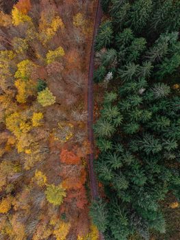 Aerial view of Ilmenau's colorful autumn foliage and dense green forest separated by a railway line.