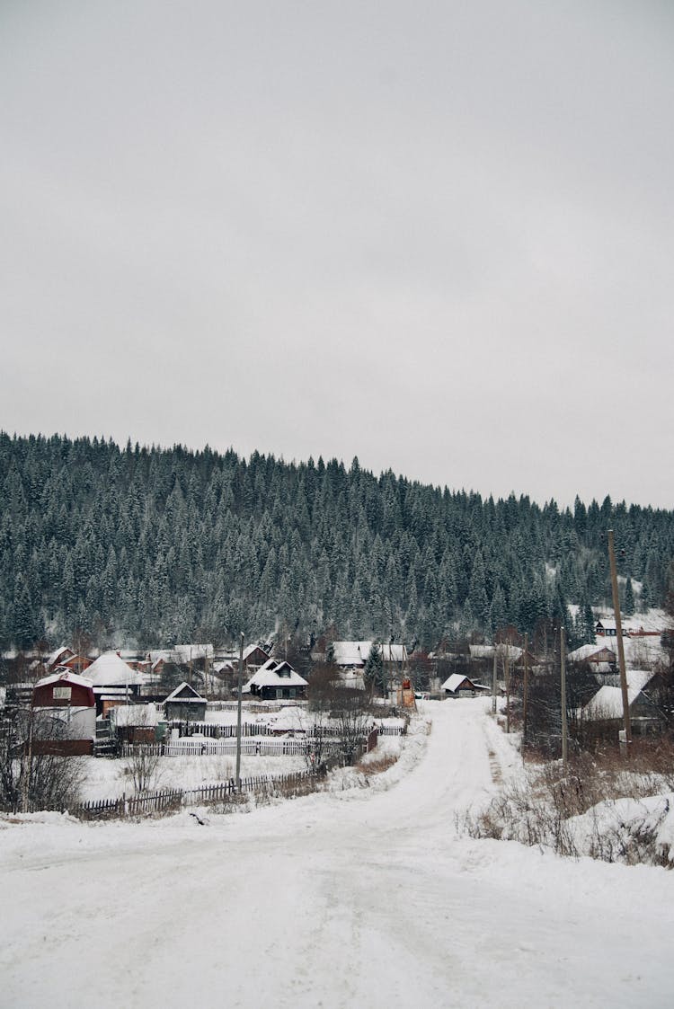 Village In A Valley In Winter 