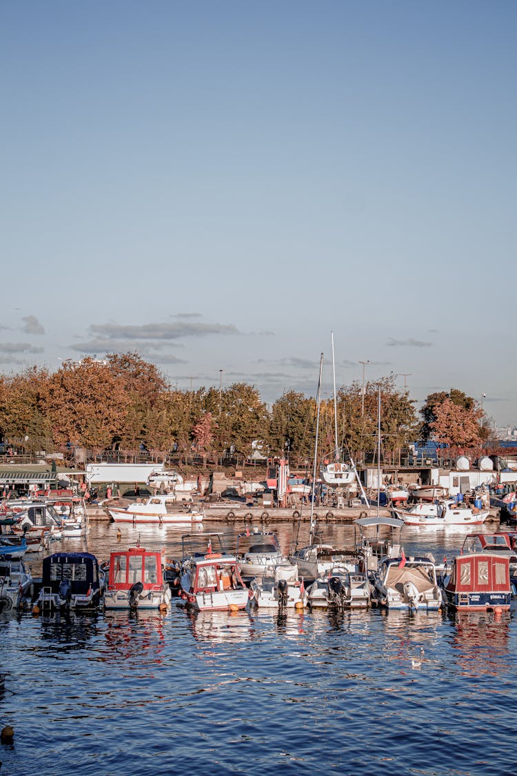 Boats Moored In Marina