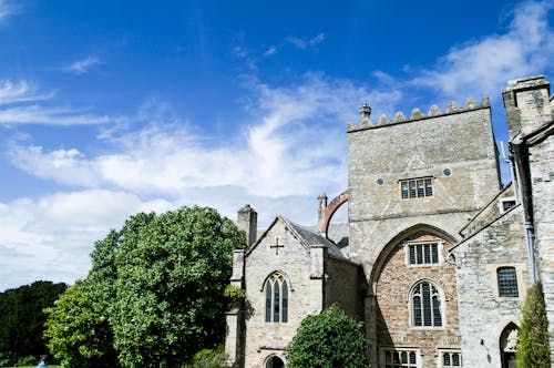 Kostnadsfri bild av buck, buckfast abbey, devon