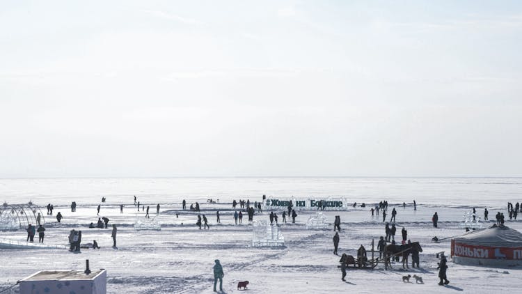 People At An Ice Sculptures Festival 