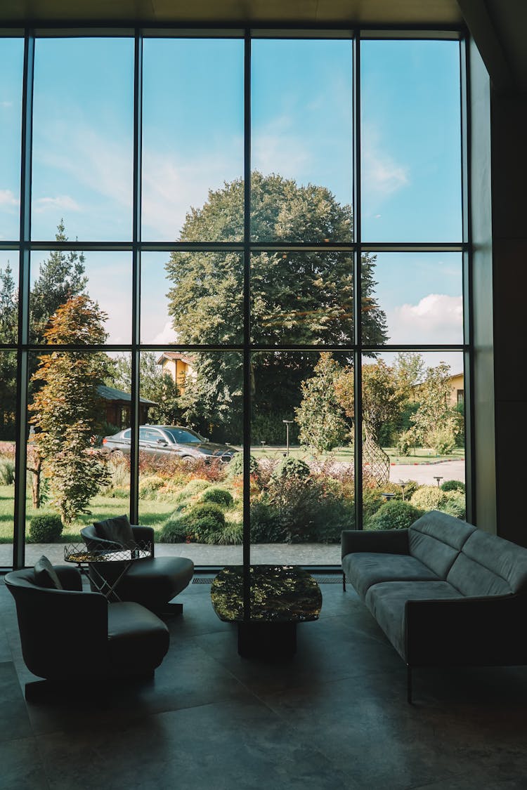 Couch And Sofas Near Windows In Room