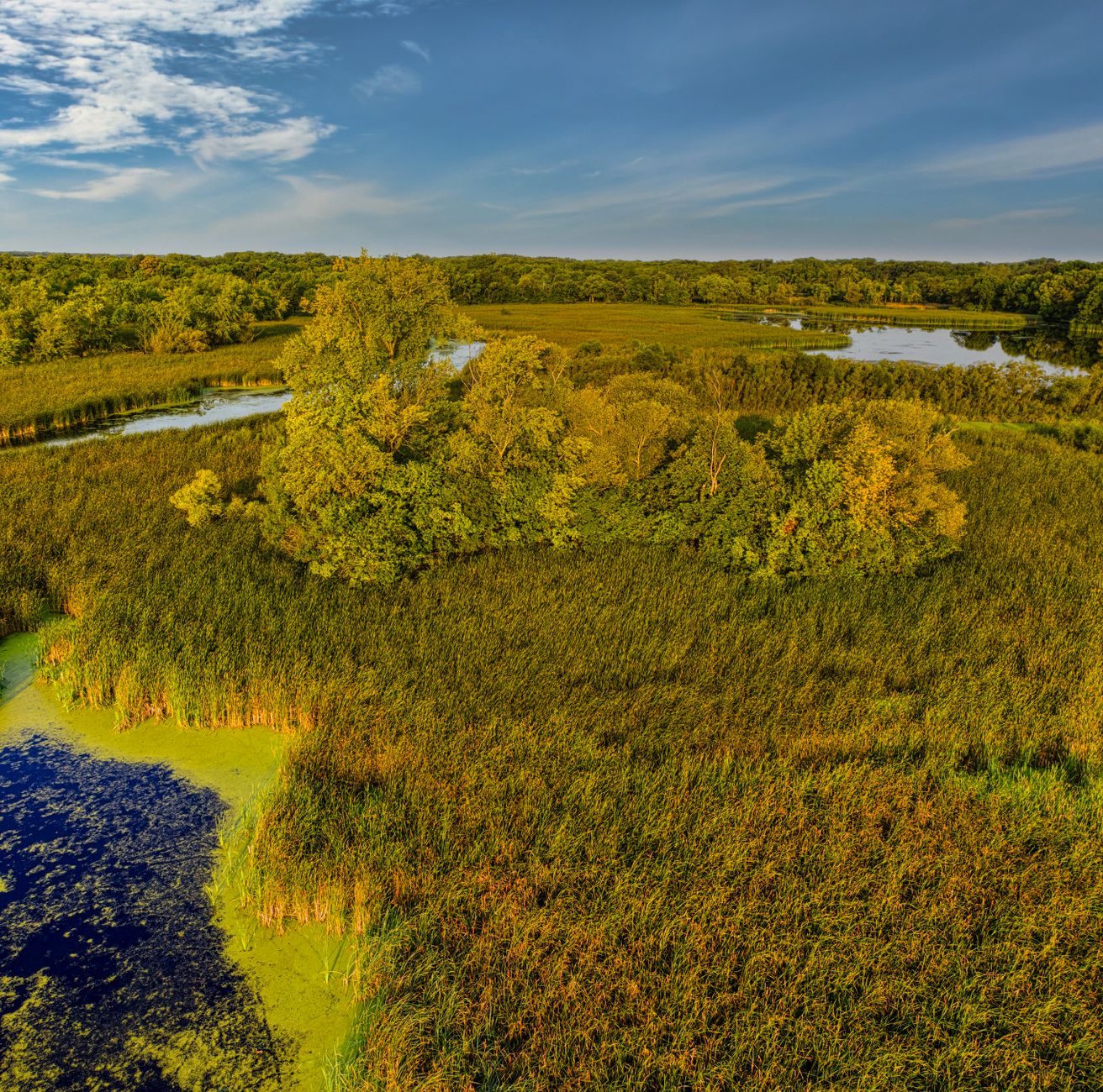 A scenic aerial view of lush green wetlands and waterways in Minnesota during summer, showcasing nature's vibrant beauty.