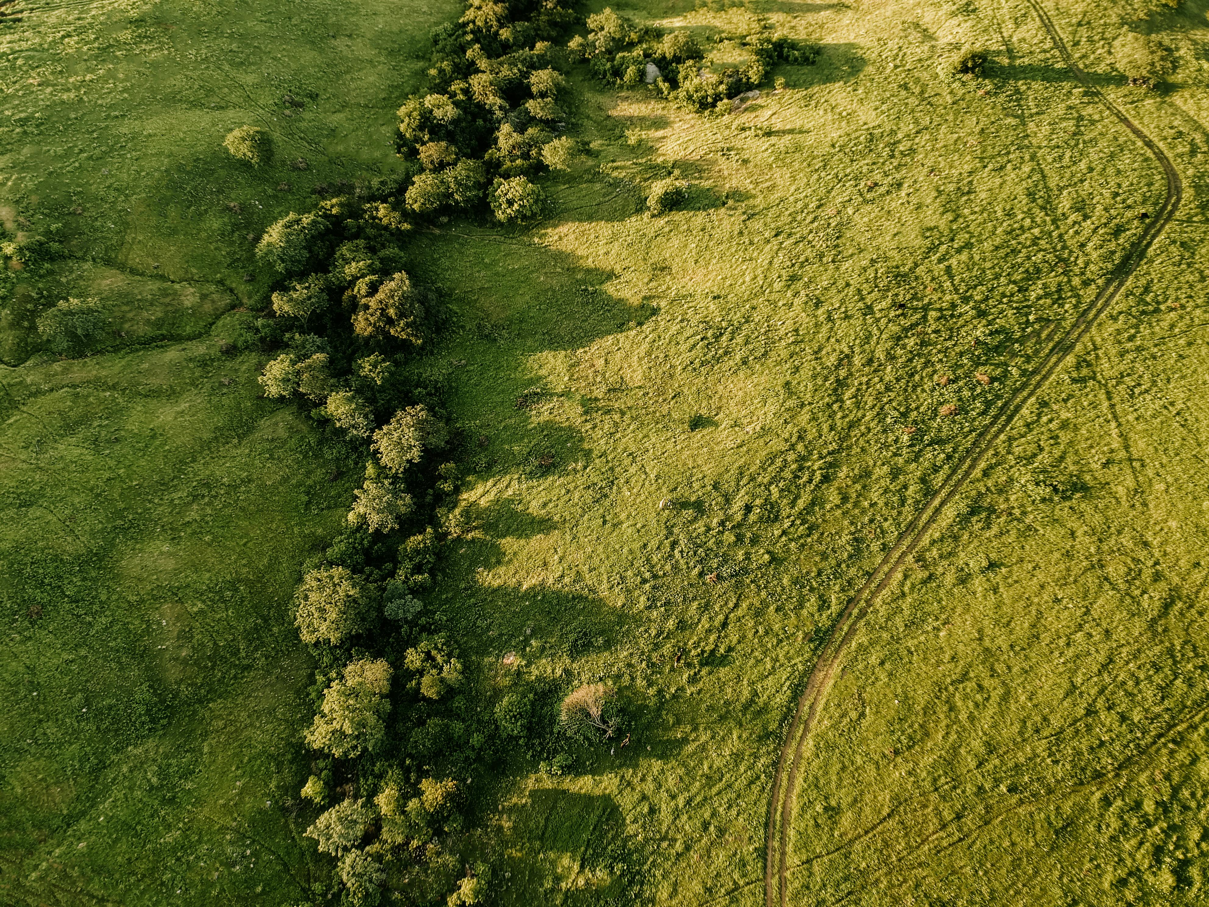 Aerial view capturing the expansive green fields with trails in Paulista, Brazil, showcasing natural beauty.