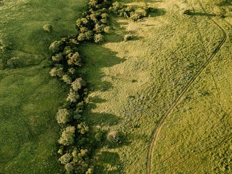 Aerial view capturing the expansive green fields with trails in Paulista, Brazil, showcasing natural beauty.