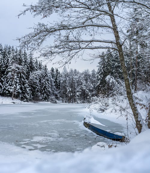 ボート, 冬, 屋外の無料の写真素材