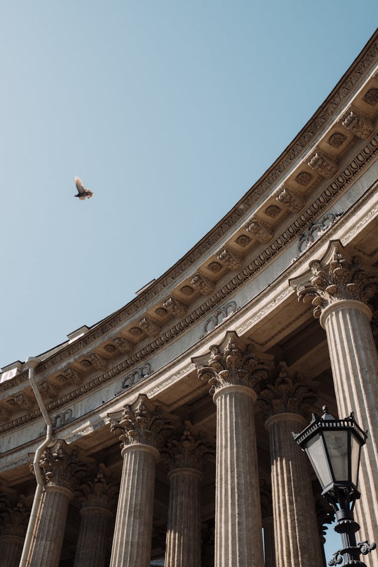 Low Angle View Of Columns