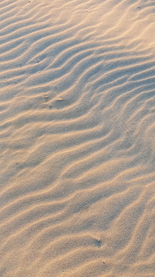 Gratis lagerfoto af lodret skud, san, strand