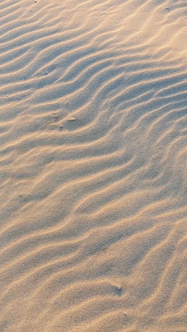 Close-up of golden sand ripples capturing natural patterns at a beach.