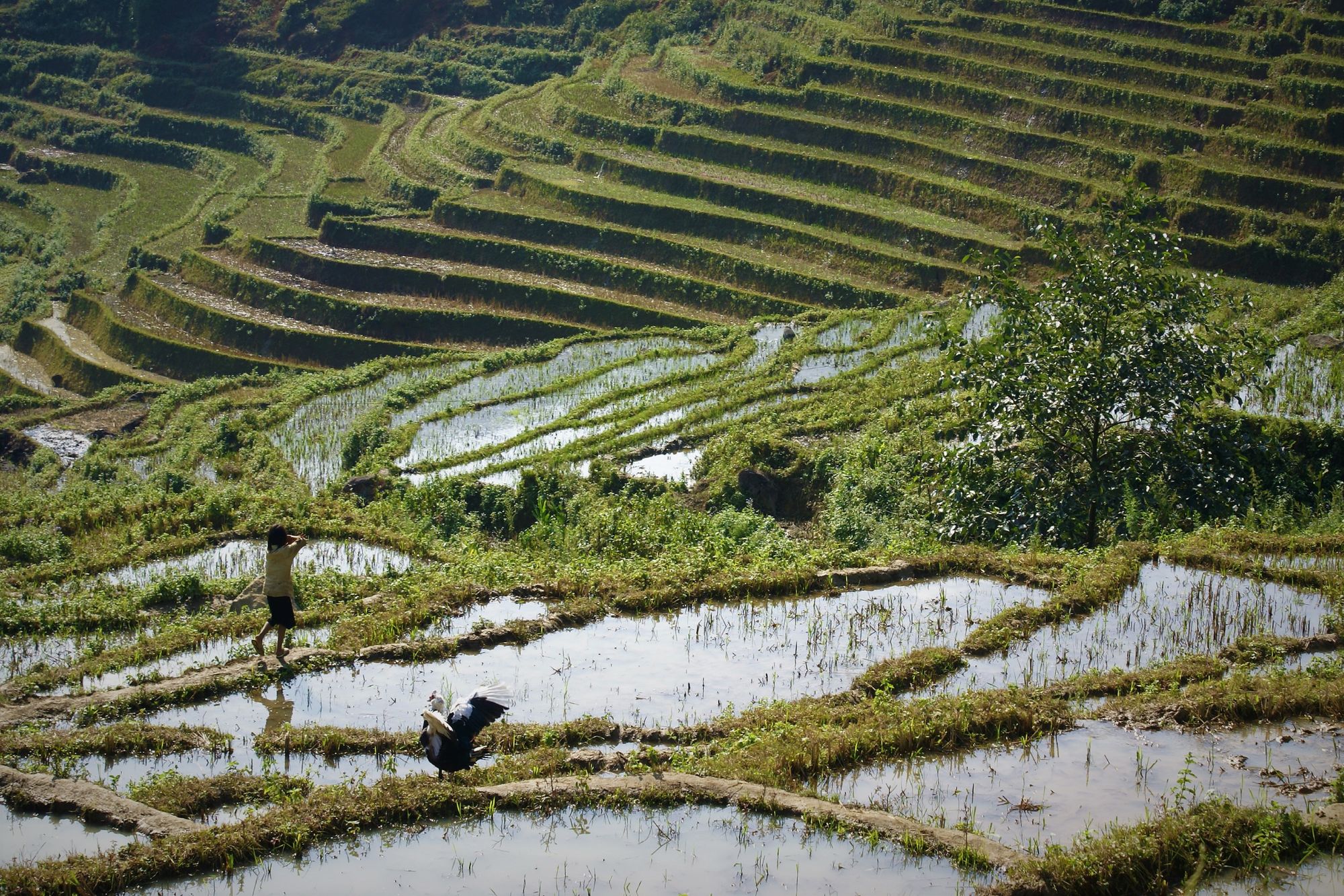 Hoi An – Da Nang – 5 Days