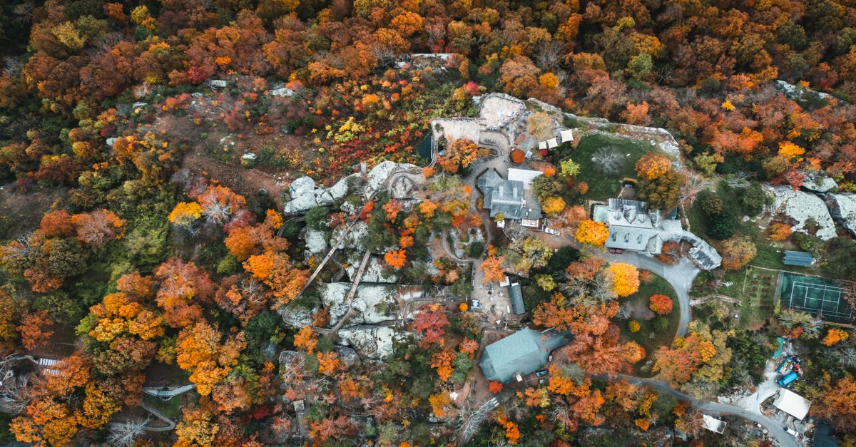 Stunning aerial shot of Lookout Mountain, Georgia, showcasing vibrant fall foliage and scenic estate views.