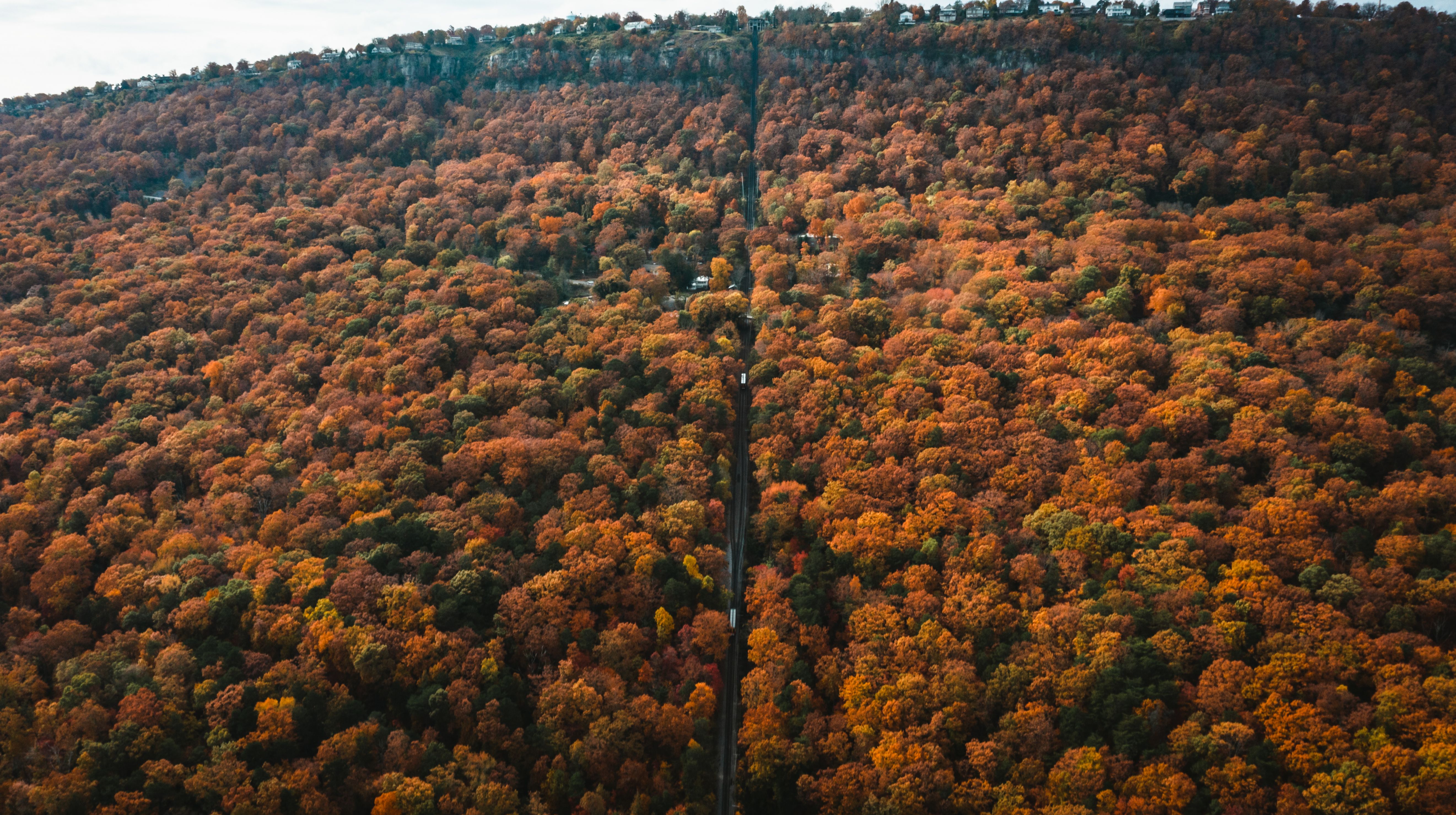 Aerial Photography of Autumn Trees in the Forest · Free Stock Photo