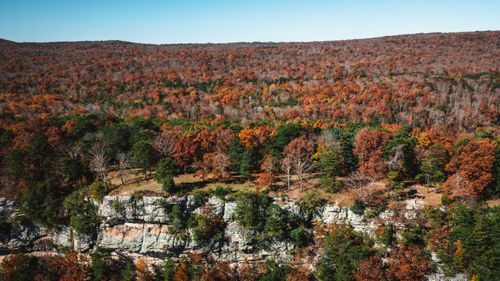Free Aerial view of vibrant autumn foliage and cliffs in Chattanooga Valley, Georgia. Stock Photo