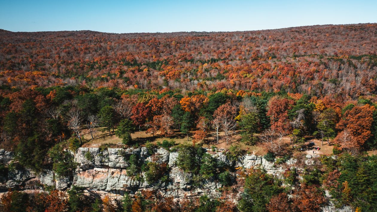 Green Trees on Rocky Mountain · Free Stock Photo