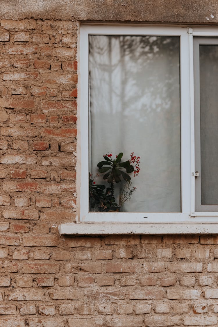 Window In Red Brick House