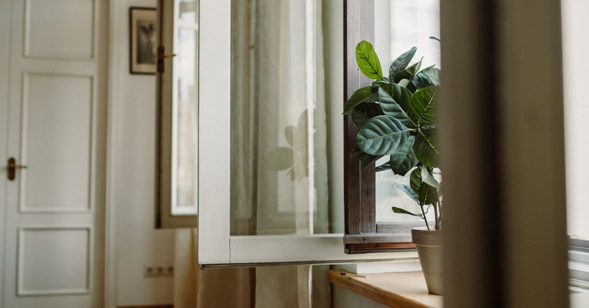 Rauchen und Dampfen in der Wohnung: Welche Spuren bleiben — und was die Sanierung kostet