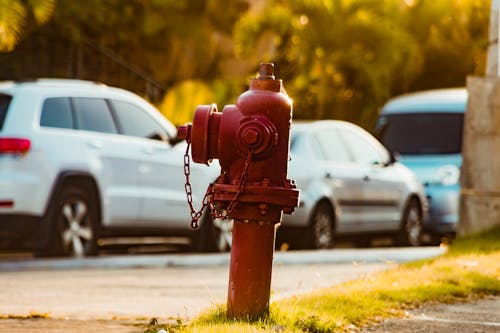 Free Photography of Red Fire Hydrant Stock Photo