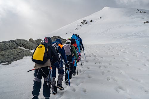 Free Back View of Hikers Climbing a Snow-Covered Mountain Stock Photo