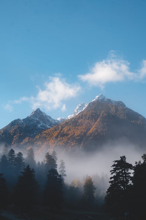 Kostenloses Stock Foto zu bäume, berge, blauer himmel