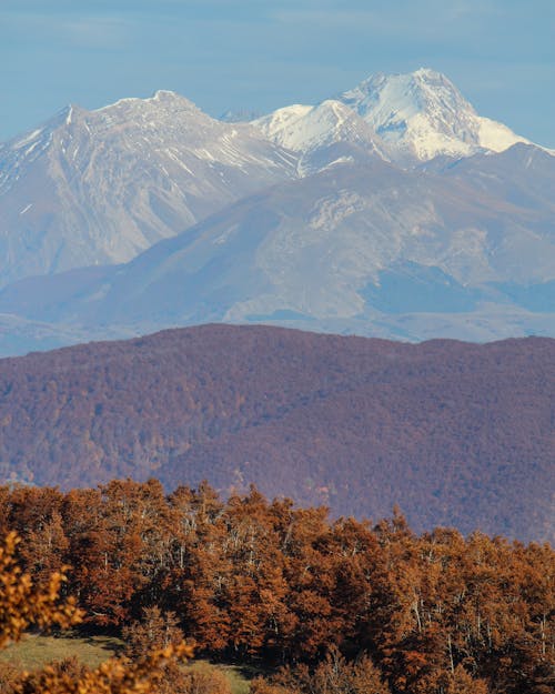 Immagine gratuita di autunno, catena montuosa, foresta
