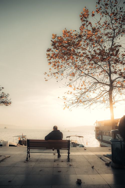 Free A serene sunrise view with a man sitting on a bench by the water under an autumn tree. Stock Photo