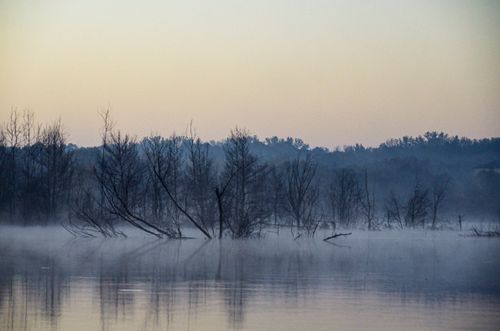 Free Serene landscape with foggy trees reflecting on a calm lake in Lviv Oblast. Stock Photo