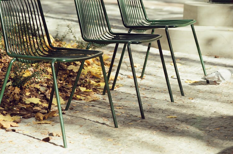 Empty Chairs And Leaves