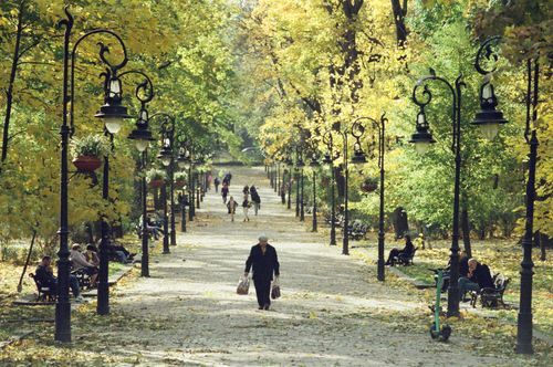 Free Serene autumn walkway in Lviv's park, with people enjoying a leisurely stroll among colorful trees. Stock Photo
