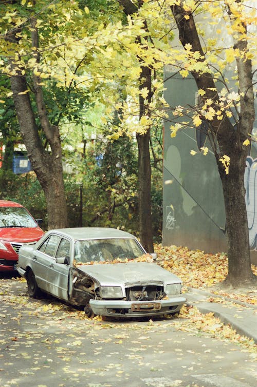 Fotobanka s bezplatnými fotkami na tému autá, automobily, dopravný systém