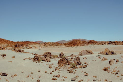 A Person Walking in the Desert