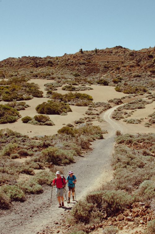 Free Two hikers traverse a rocky path amidst the unique terrain of Tenerife, Spain. Stock Photo