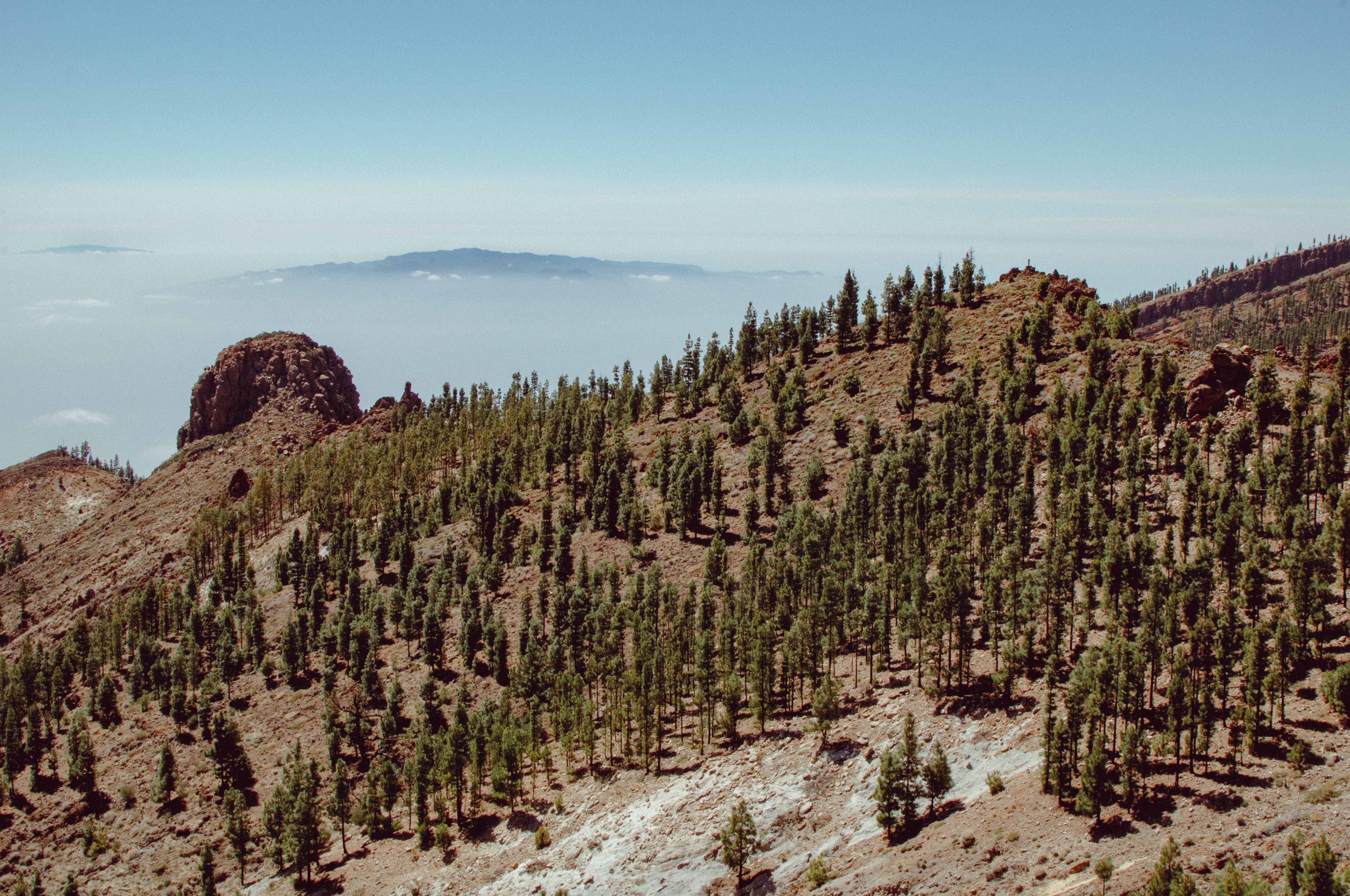 Aerial Photography of Green Trees on Mountain · Free Stock Photo