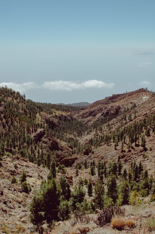 Free Explore the rugged beauty of Tenerife's mountain landscape with lush green trees under a clear blue sky. Stock Photo