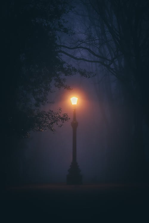 Black Street Lamp Turned on during Night Time