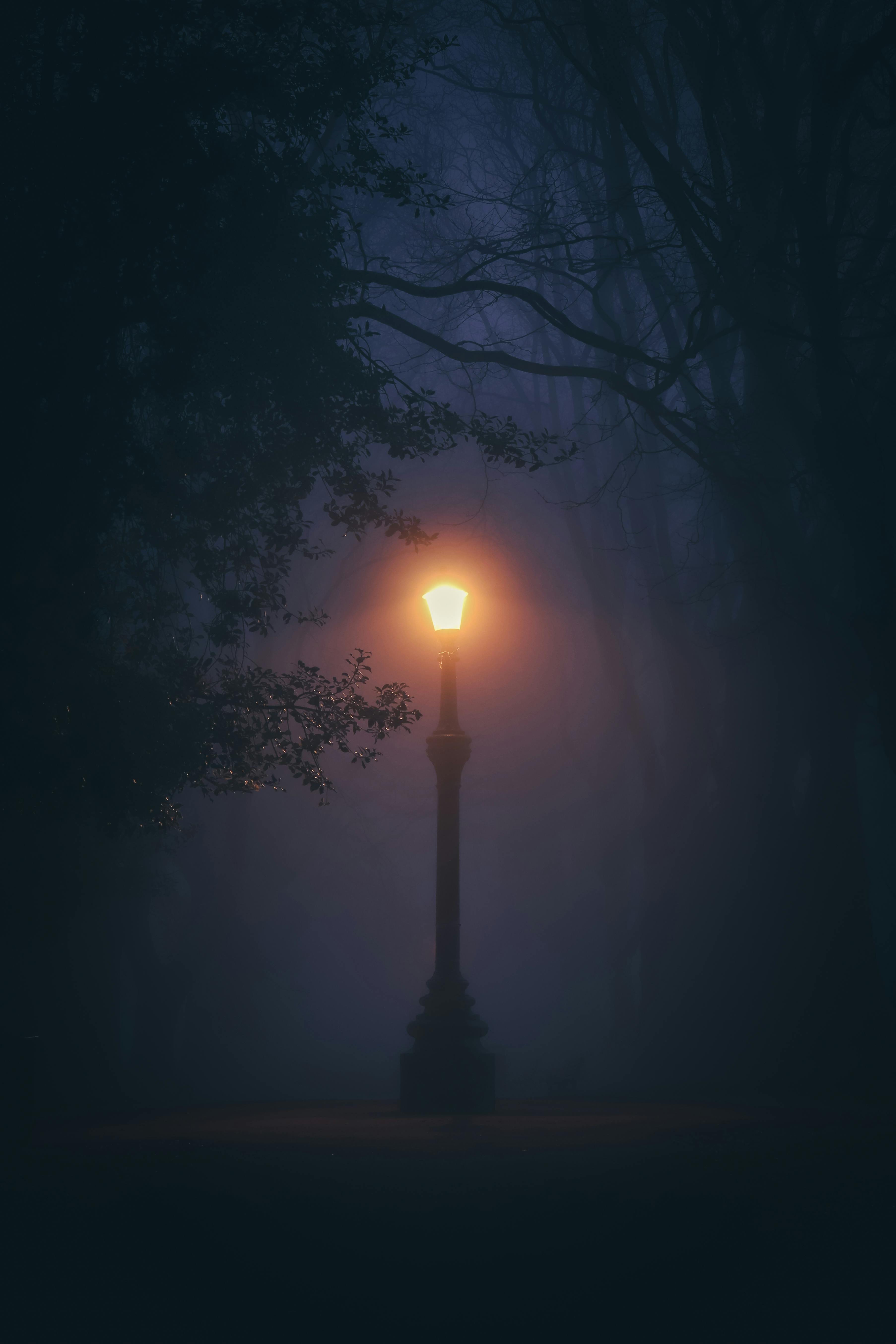 Black Street Lamp Turned On During Night Time · Free Stock Photo