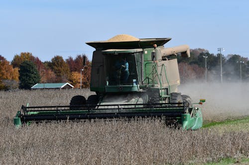 A Tractor Plowing on a Flower Field