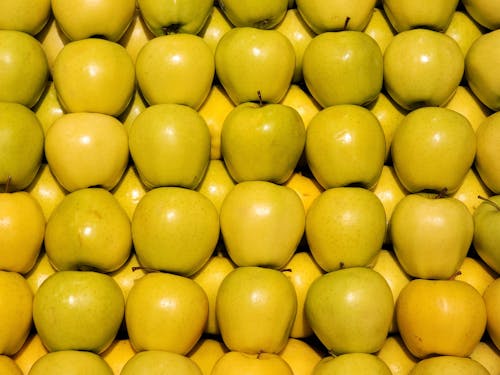 Kostnadsfri bild av äpplen, färsk, gul
