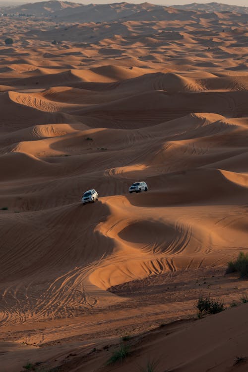 Foto d'estoc gratuïta de conducció, cotxes, desert