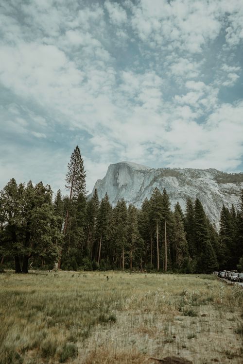 Free Breathtaking view of Half Dome in Yosemite National Park surrounded by lush forest. Stock Photo