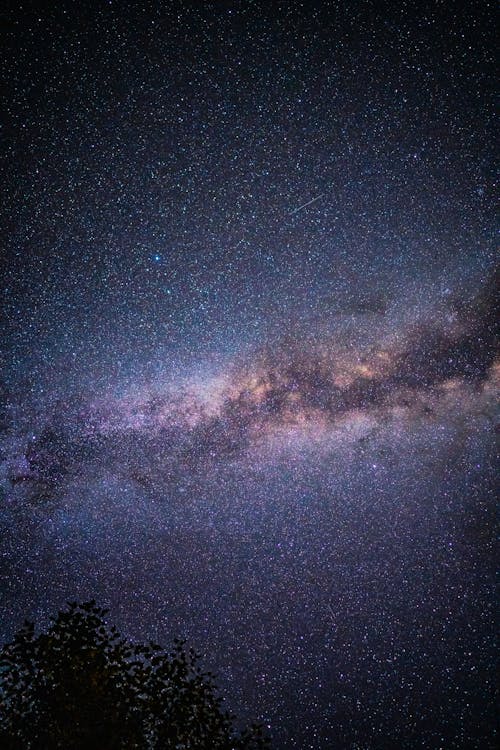 Free Low Angle Shot of a Starry Night Sky Stock Photo
