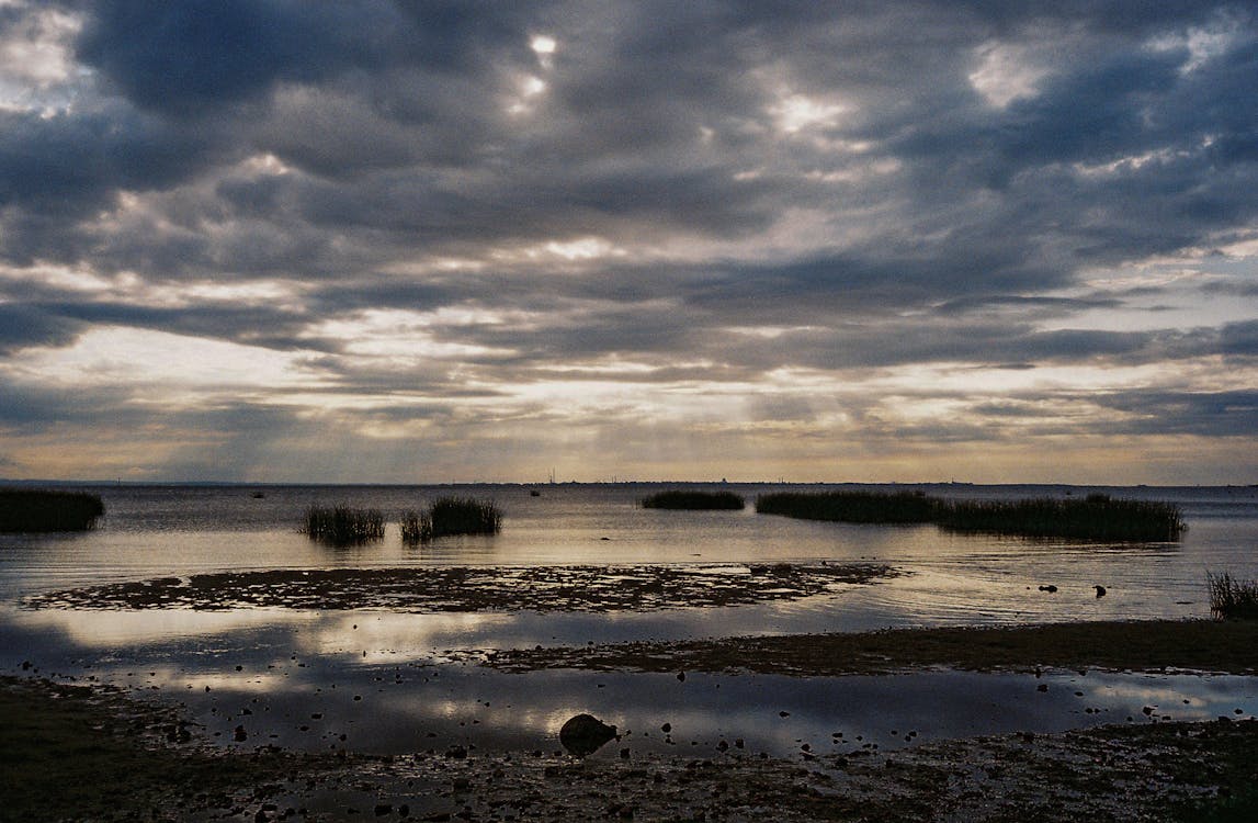 View of a Shore During Sunset 