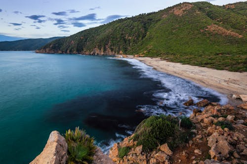 Imagine de stoc gratuită din codru, mare, natură