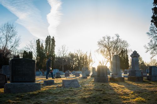 Free A man walking through a sunlit cemetery, highlighting solitude and reflection. Stock Photo