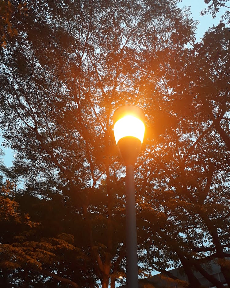 Turned On Street Light